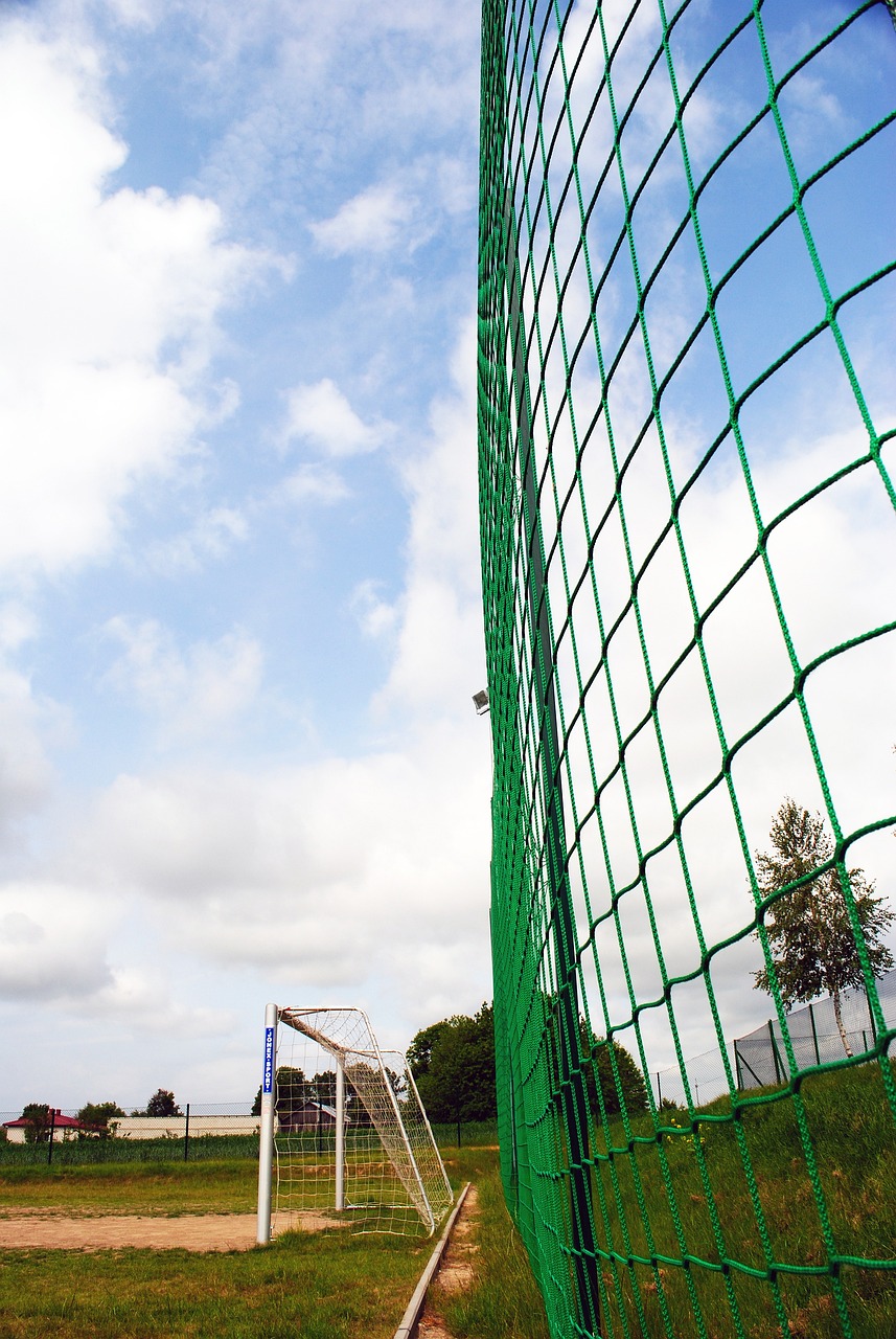 他能够在适 他能够在适