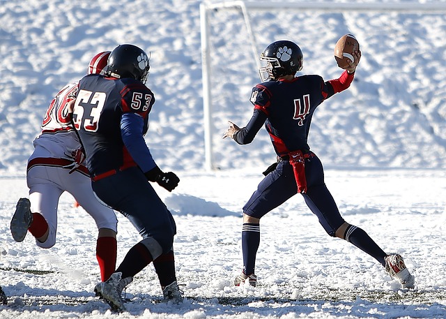 荷兰与西班 荷兰与西班