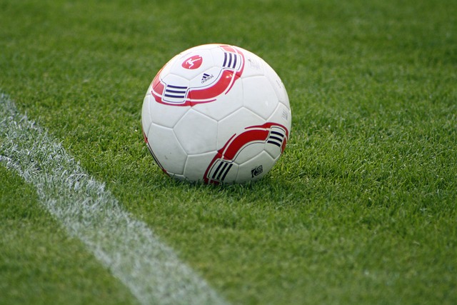 新纪元的商 新纪元的商