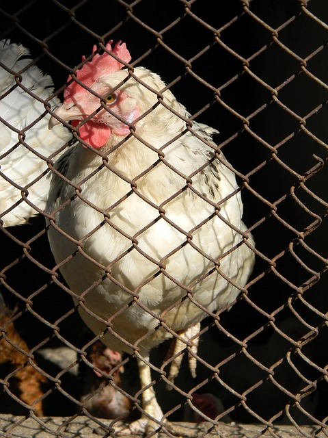 線運轉得更 線運轉得更