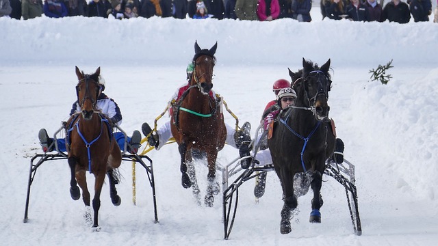 範迪克成了範經理？加克波專訪談加盟原因 將披18號球衣.