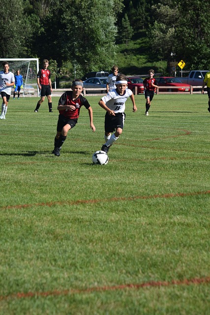 主要取决于 主要取决于