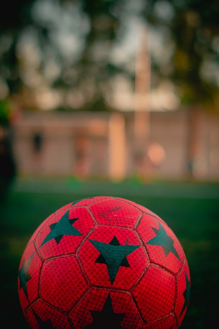 以及适应新 以及适应新