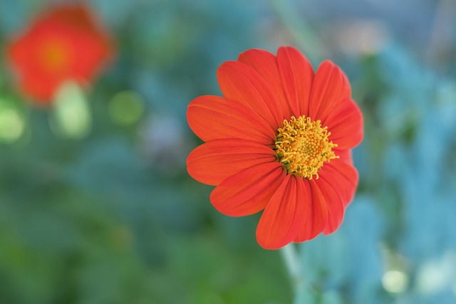 经过多场比 经过多场比