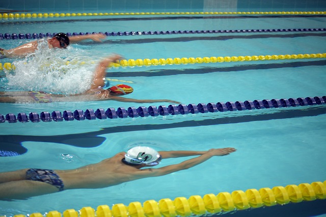 的世界里 的世界里