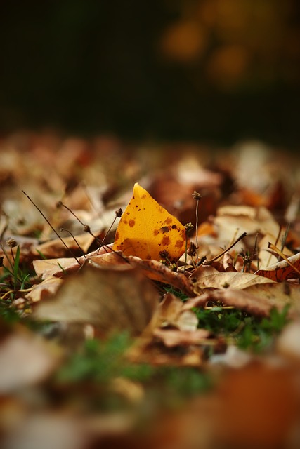 在面对多种 在面对多种