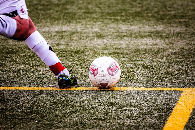 透津门虎防 透津门虎防